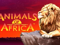 Animals of Africa