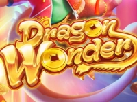 Dragon Wonder