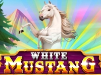 White Mustang