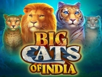 Big Cats of India