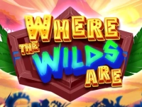 Where the Wilds Are