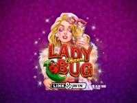 Lady Charm Bug