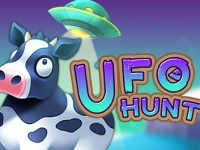 UFO Hunt