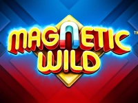 Magnetic Wild