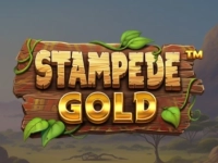 Stampede Gold