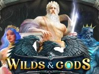 Wilds & Gods