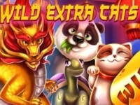 Wild Extra Cats