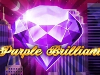 Purple Brilliant