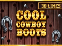 Cool Cowboy Boots