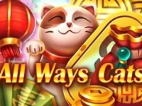 All Ways Cats