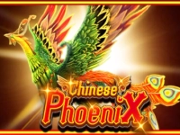 Chinese Phoenix