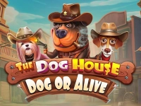 The Dog House - Dog or Alive