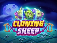 Cloning Sheep