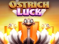 Ostrich Luck