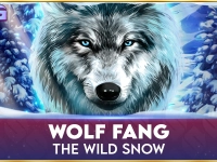 Wolf Fang The Wild Snow