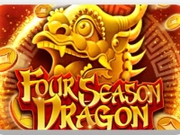 Four Season Dragon