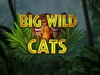 Big Wild Cats