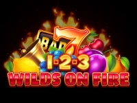 1-2-3 Wilds on Fire