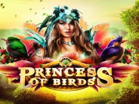 Princess of Birds