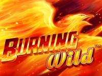 Burning Wild