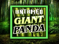 Untamed Giant Panda