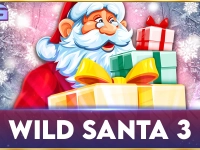 Wild Santa 3