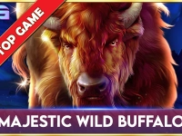 Majestic Wild Buffalo