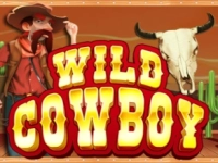 Wild Cowboy