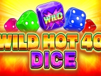 Wild Hot 40 Dice