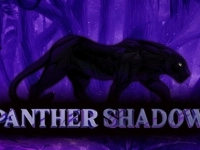 Panther Shadow