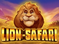 Lion Safari