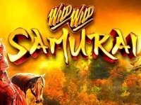 Wild Wild Samurai