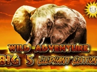 Wild Adventure Big 5 Elephant Edition