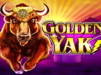 Golden Yak