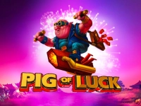 Pig of Luck