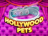 Hollywood Pets