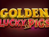 Golden Lucky Pigs