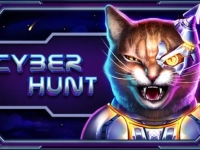 Cyber Hunt