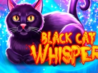 Black Cat Whisper