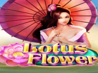 Lotus Flower