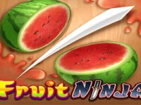 Fruit Ninja