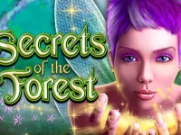 Secrets of the Forest