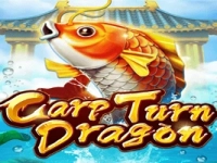 Carp Turn Dragon