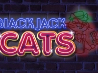 Blackjack Cats