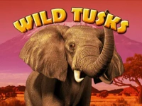 Wild Tusks