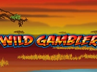 Wild Gambler