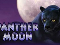 Panther Moon