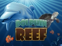 Dolphin Reef