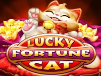 Lucky Fortune Cat