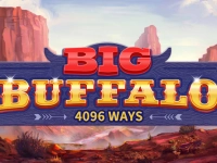 Big Buffalo